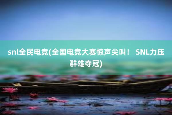 snl全民电竞(全国电竞大赛惊声尖叫！ SNL力压群雄夺冠)