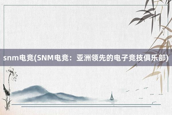 snm电竞(SNM电竞：亚洲领先的电子竞技俱乐部)