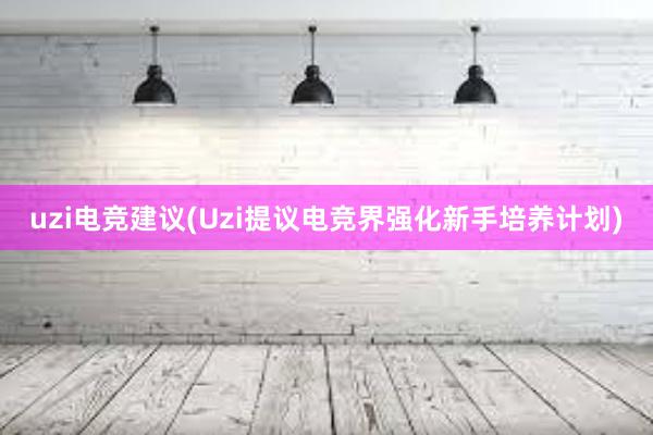 uzi电竞建议(Uzi提议电竞界强化新手培养计划)