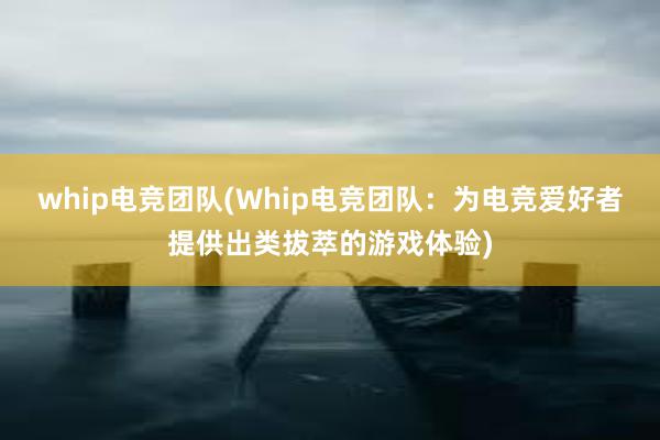 whip电竞团队(Whip电竞团队：为电竞爱好者提供出类拔萃的游戏体验)