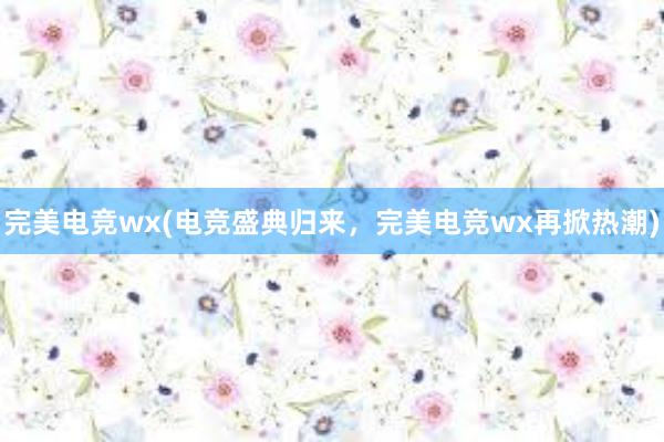 完美电竞wx(电竞盛典归来，完美电竞wx再掀热潮)