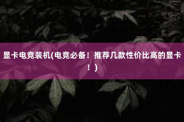 显卡电竞装机(电竞必备！推荐几款性价比高的显卡！)