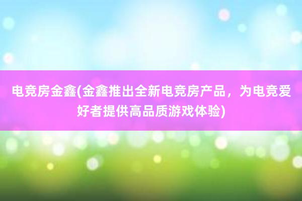 电竞房金鑫(金鑫推出全新电竞房产品，为电竞爱好者提供高品质游戏体验)