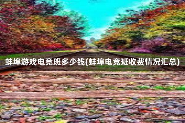 蚌埠游戏电竞班多少钱(蚌埠电竞班收费情况汇总)