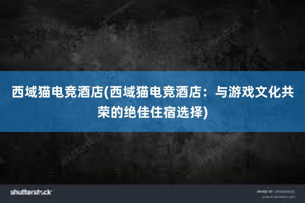 西域猫电竞酒店(西域猫电竞酒店：与游戏文化共荣的绝佳住宿选择)