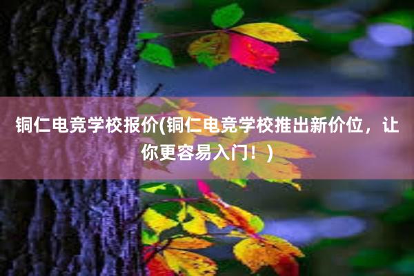 铜仁电竞学校报价(铜仁电竞学校推出新价位，让你更容易入门！)