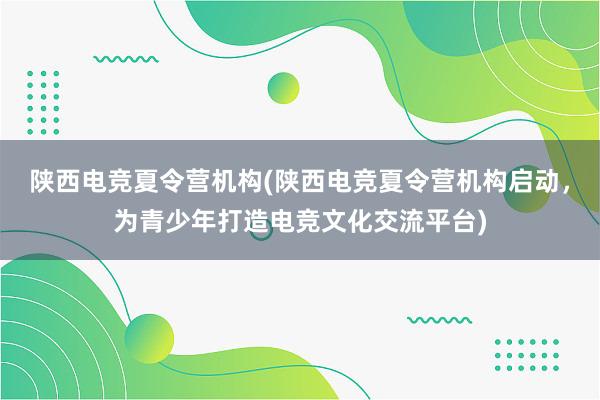 陕西电竞夏令营机构(陕西电竞夏令营机构启动，为青少年打造电竞文化交流平台)