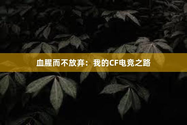 血腥而不放弃：我的CF电竞之路