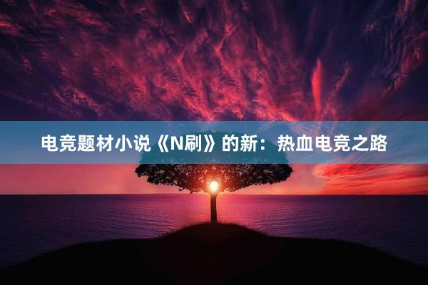 电竞题材小说《N刷》的新：热血电竞之路