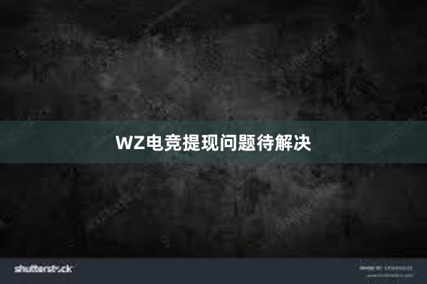 WZ电竞提现问题待解决