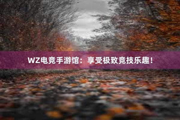 WZ电竞手游馆：享受极致竞技乐趣！