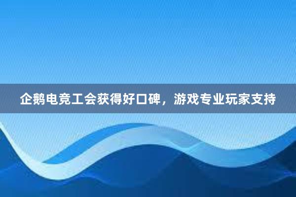 企鹅电竞工会获得好口碑，游戏专业玩家支持