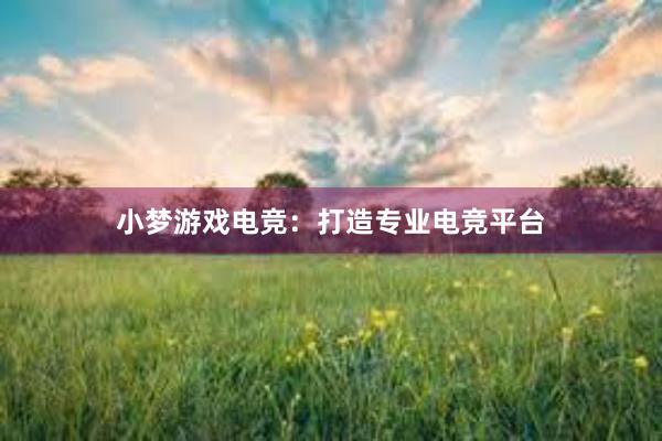 小梦游戏电竞：打造专业电竞平台