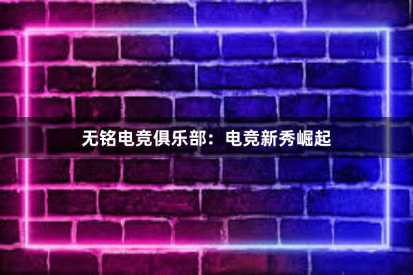 无铭电竞俱乐部：电竞新秀崛起