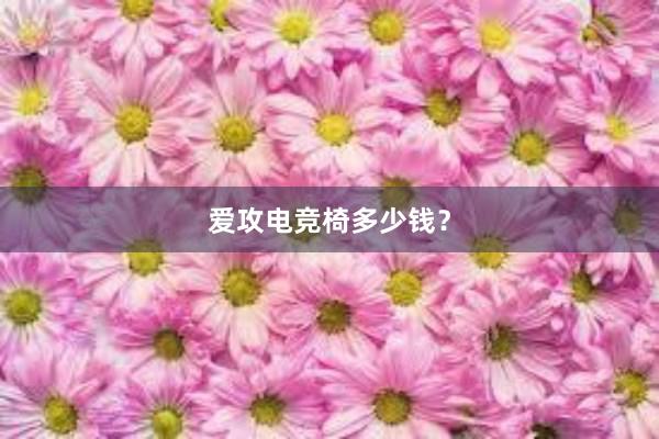 爱攻电竞椅多少钱？