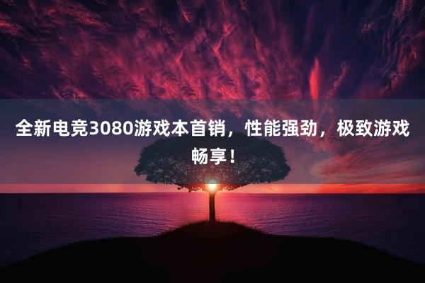 全新电竞3080游戏本首销，性能强劲，极致游戏畅享！