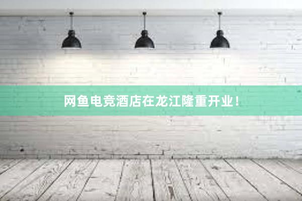 网鱼电竞酒店在龙江隆重开业！