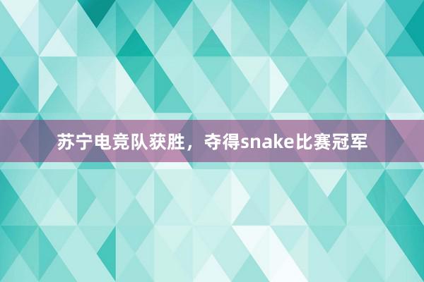 苏宁电竞队获胜，夺得snake比赛冠军