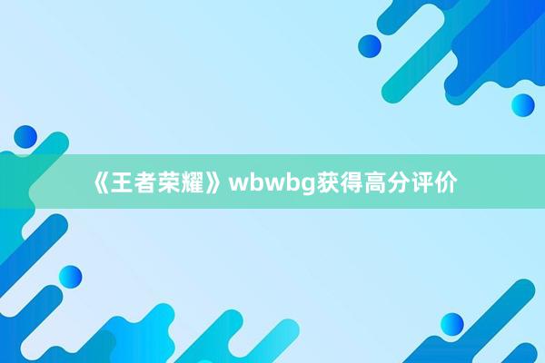 《王者荣耀》wbwbg获得高分评价