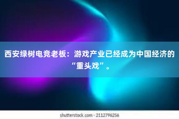 西安绿树电竞老板：游戏产业已经成为中国经济的“重头戏”。