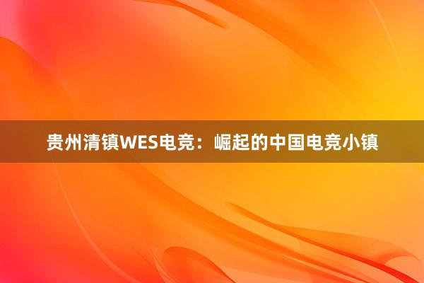 贵州清镇WES电竞：崛起的中国电竞小镇