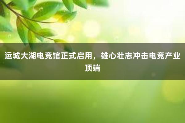 运城大湖电竞馆正式启用，雄心壮志冲击电竞产业顶端